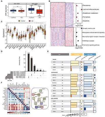 Identification ferroptosis-related hub genes and diagnostic model in Alzheimer’s disease